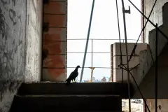 Фотография ЖК